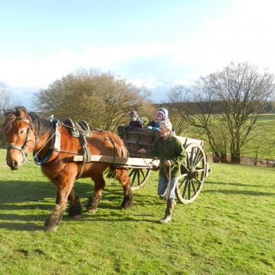 Un cheval et sa charette