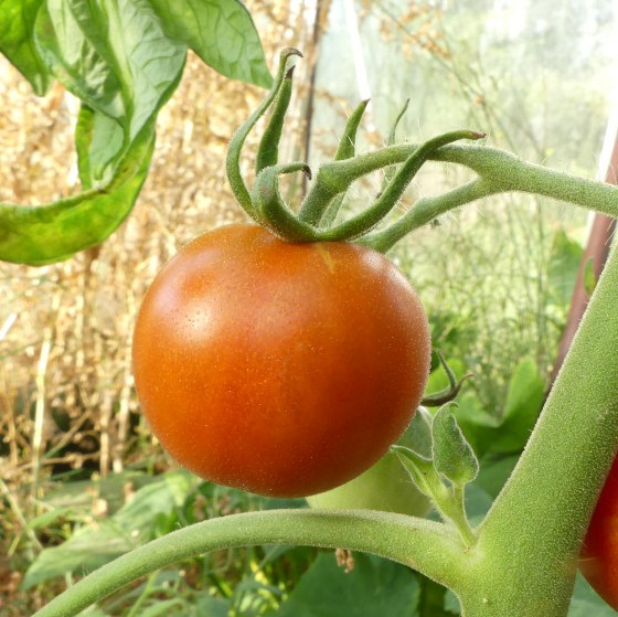 Photo du gîtes de profil