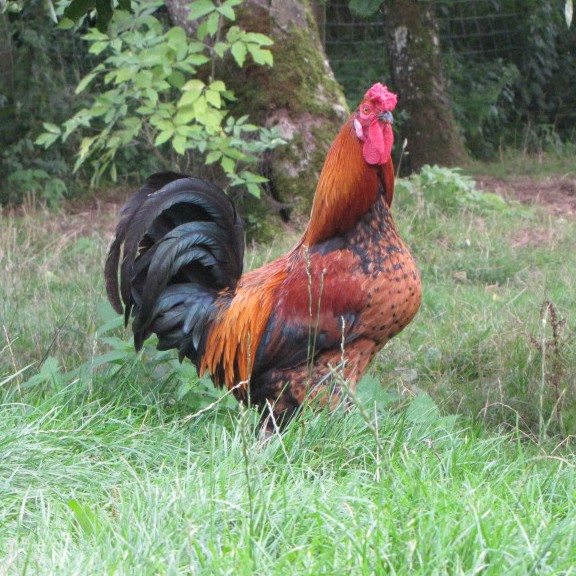 Photo du gîtes de profil