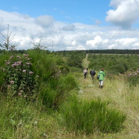 Photo du gîtes de profil