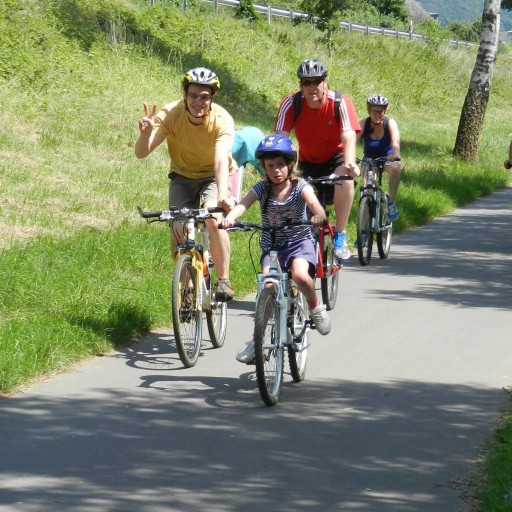 Photo du gîtes de profil